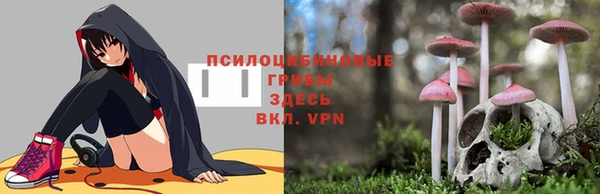 тгк Алзамай