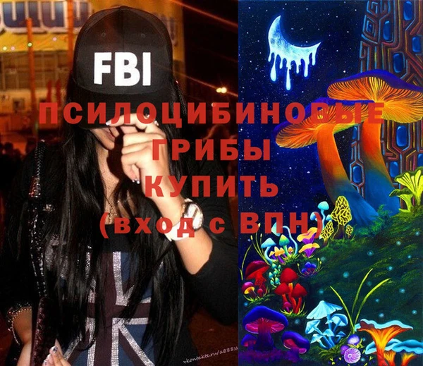 меф Алексин