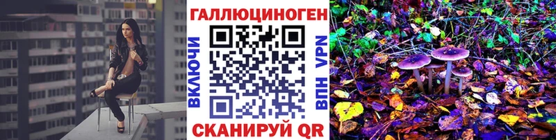 где найти   Западная Двина  Галлюциногенные грибы GOLDEN TEACHER 