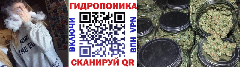 МЕГА ТОР Западная Двина МАРИХУАНА Bruce Banner